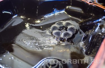 Ремонт АКПП FW6A-EL Мазда СХ 5 (фото и видео)