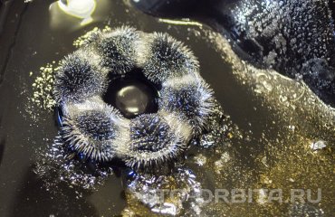 Ремонт АКПП FW6A-EL Мазда СХ 5 (фото и видео)